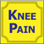 Picture of Knee Pain - Ebooklet